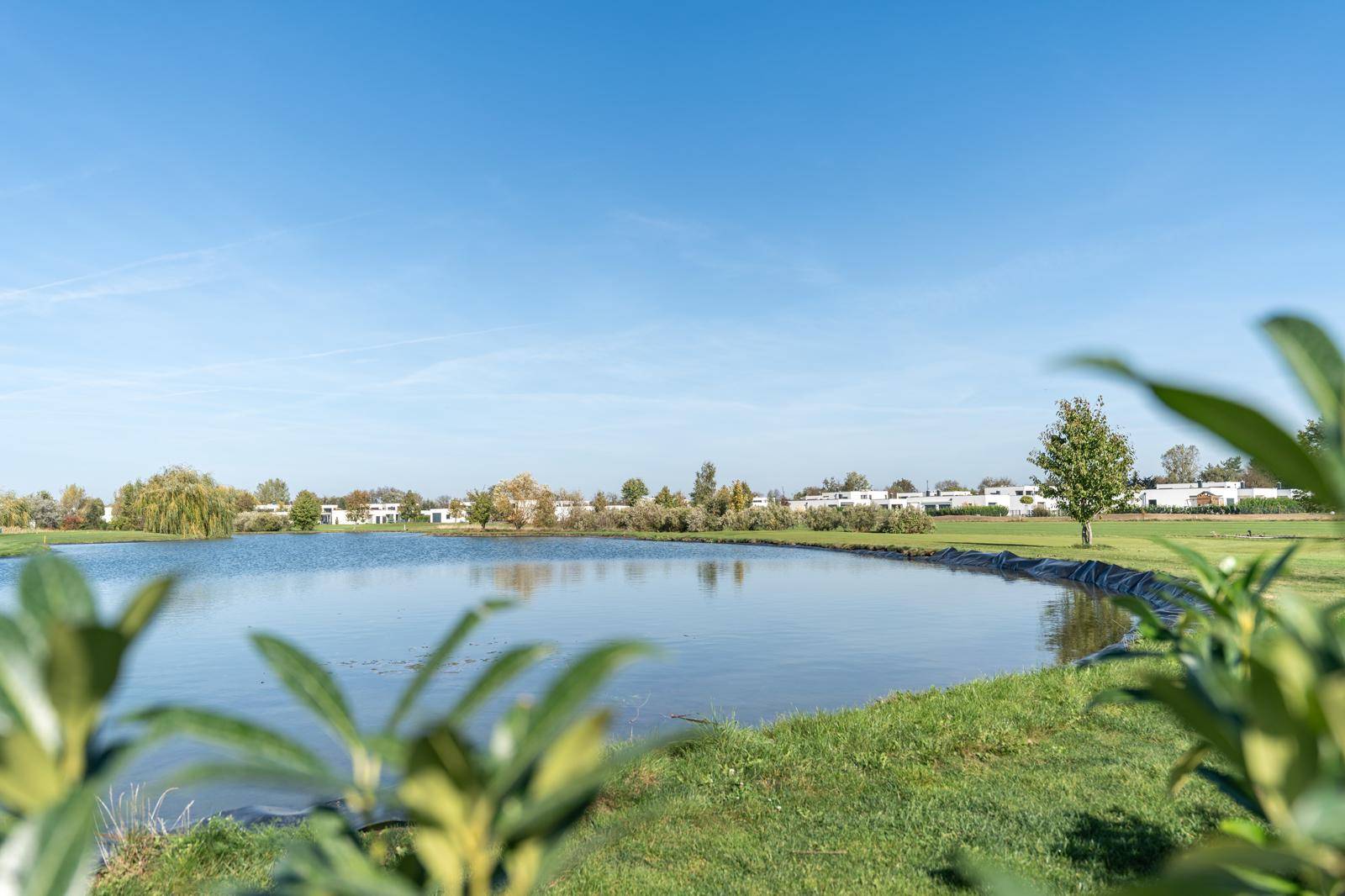 Ruhiger Teich umgeben von grünen Wiesen und Bäumen, mit Wohngebäuden am Horizont.