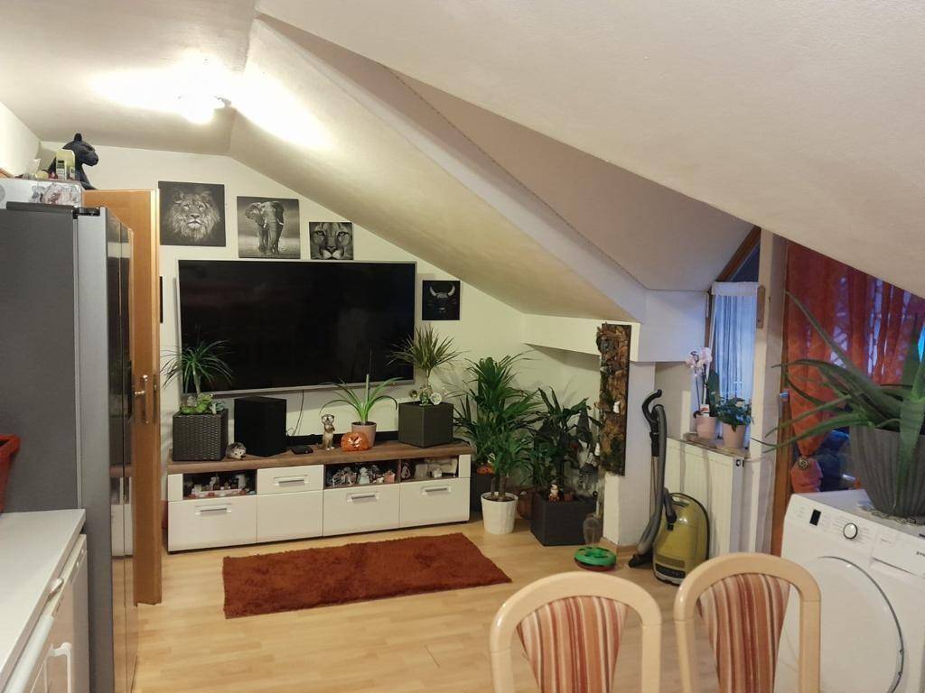 Gemütlicher Wohnbereich im Dachgeschoss mit großem Fernseher, vielen Pflanzen und schrägen Wänden.