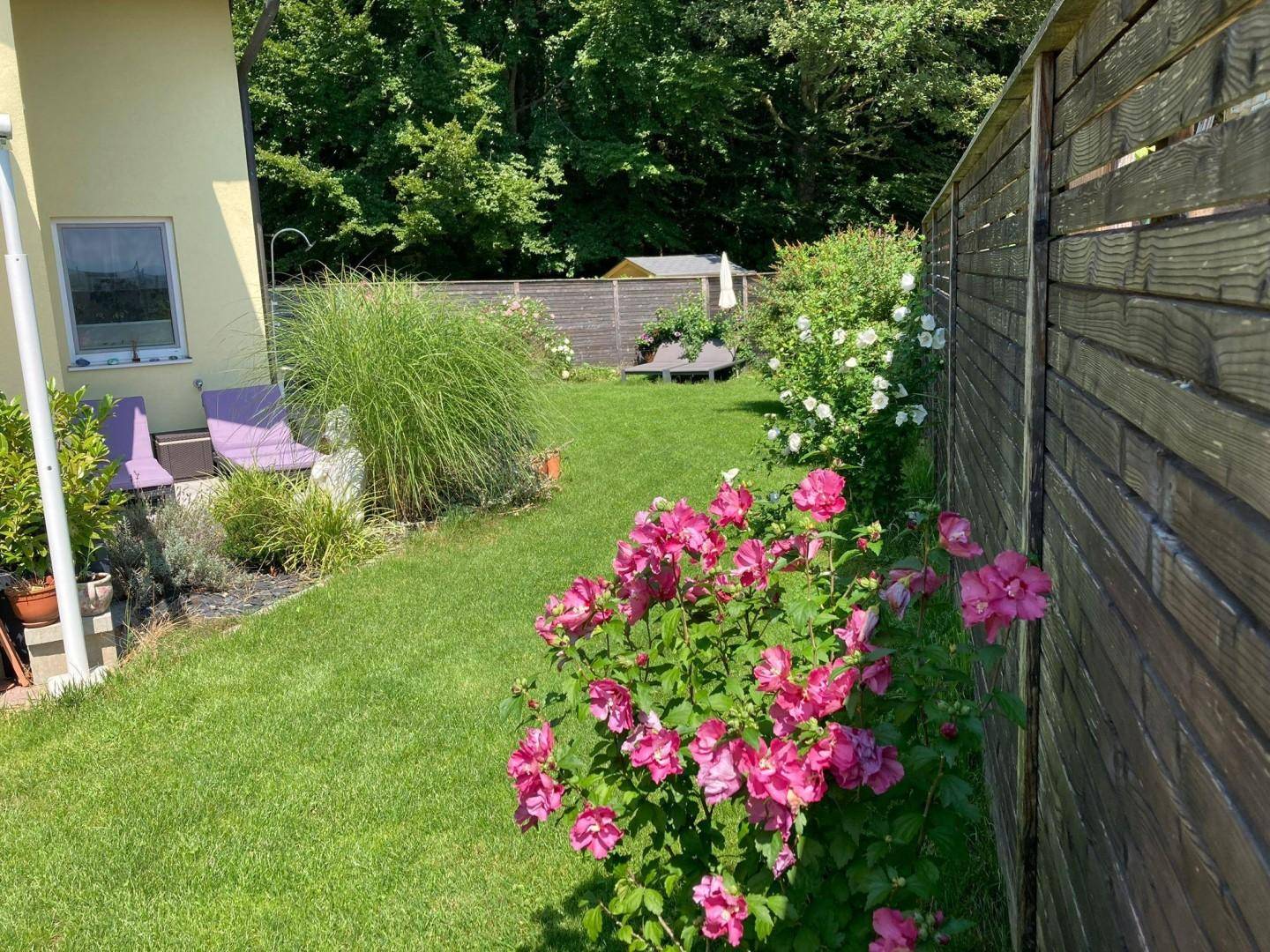 Großer, sonniger Garten mit Rasenfläche, blühenden Rosen und einem Holzzaun.