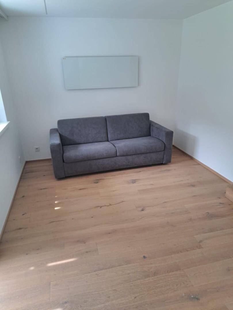 Gemütliches Wohnzimmer mit grauem Sofa, hellen Wänden und hellem Holzfußboden.
