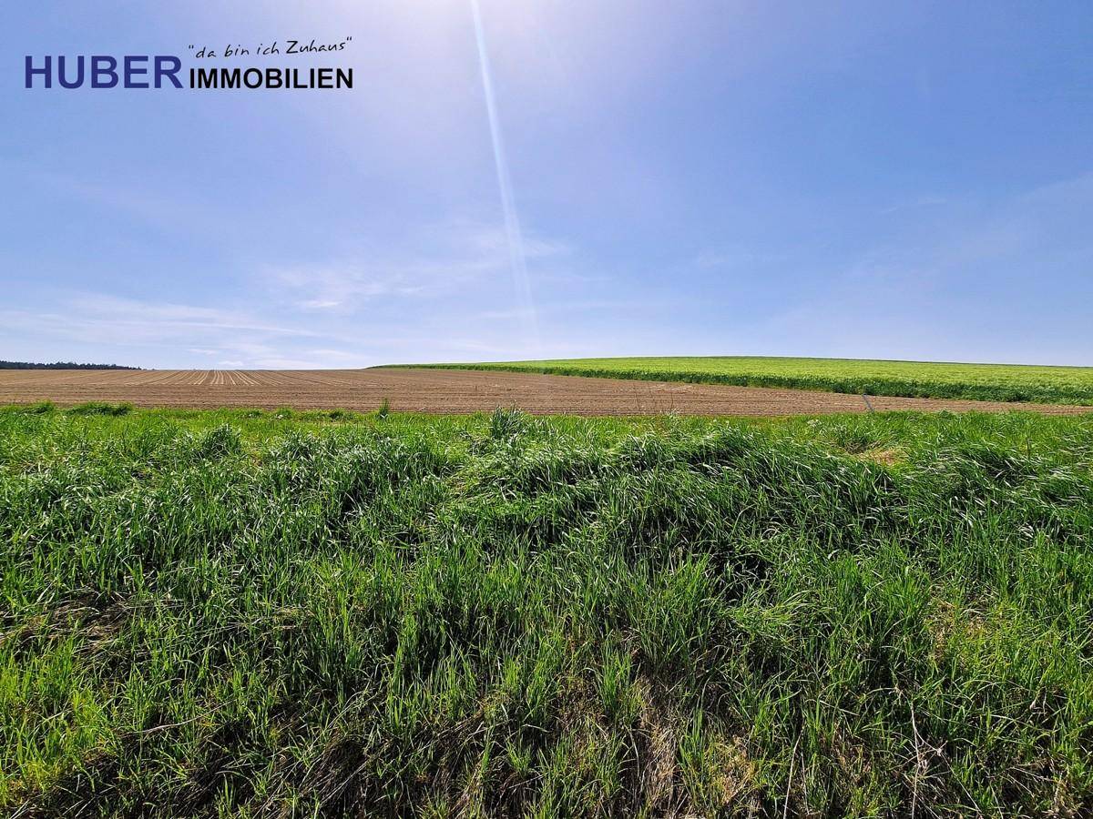 möglicher Ausblick je Bebauung