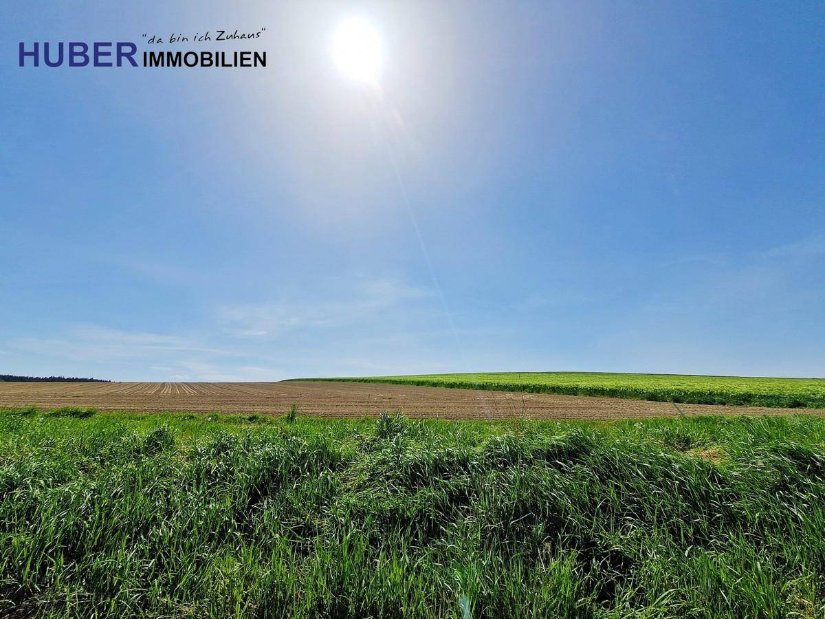 möglicher Ausblick je Bebauung