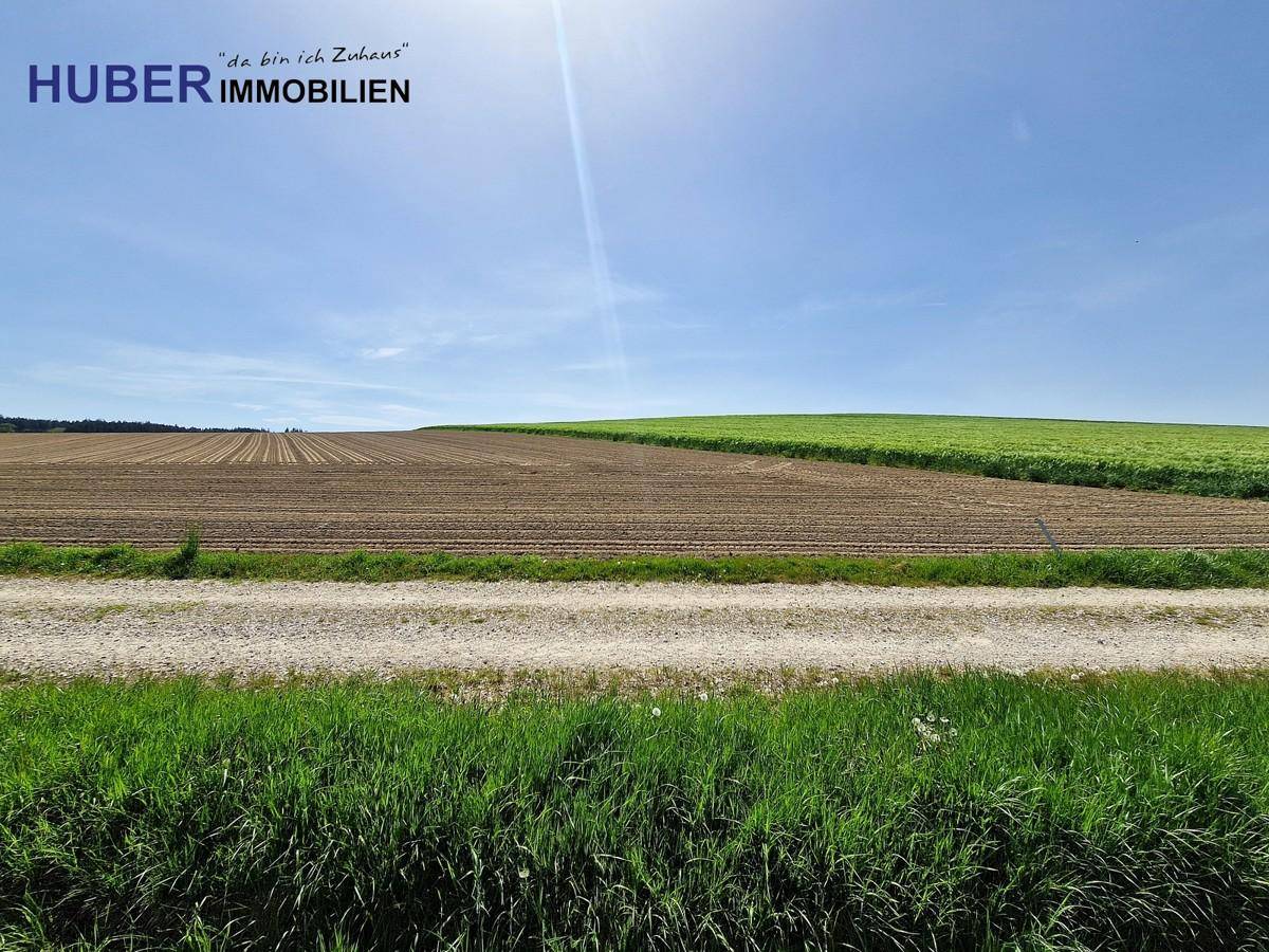 unbebaubare Felder im Süden