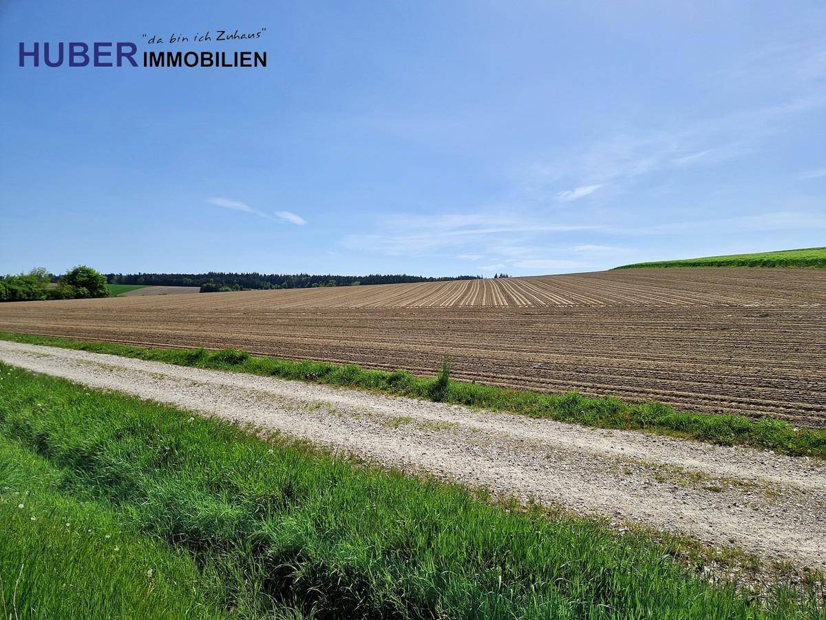 unbebaubare Felder im Süden