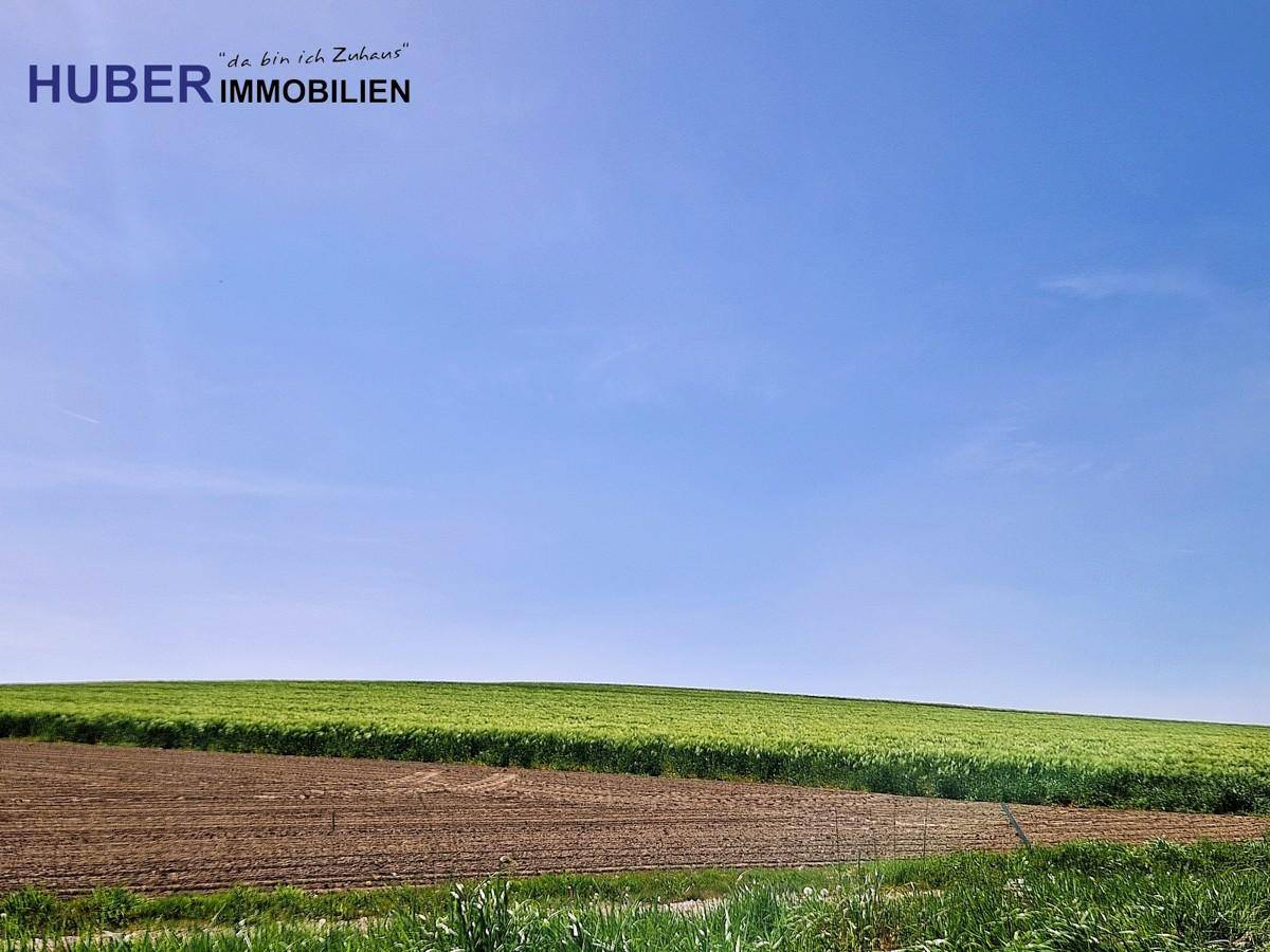 möglicher Ausblick je Bebauung