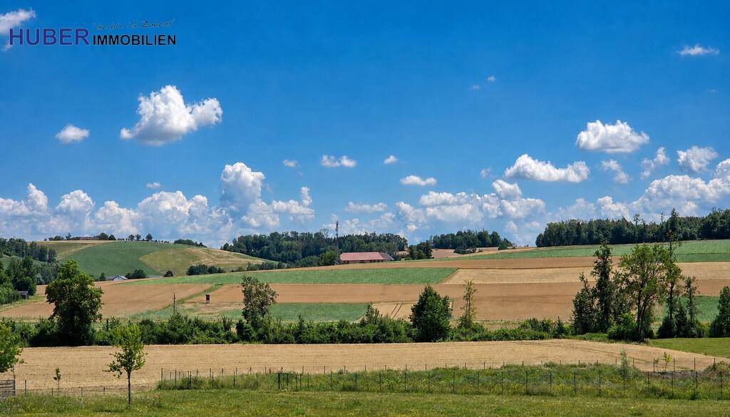 Weitläufige ländliche Landschaft mit Feldern und Bäumen unter einem klaren blauen Himmel.