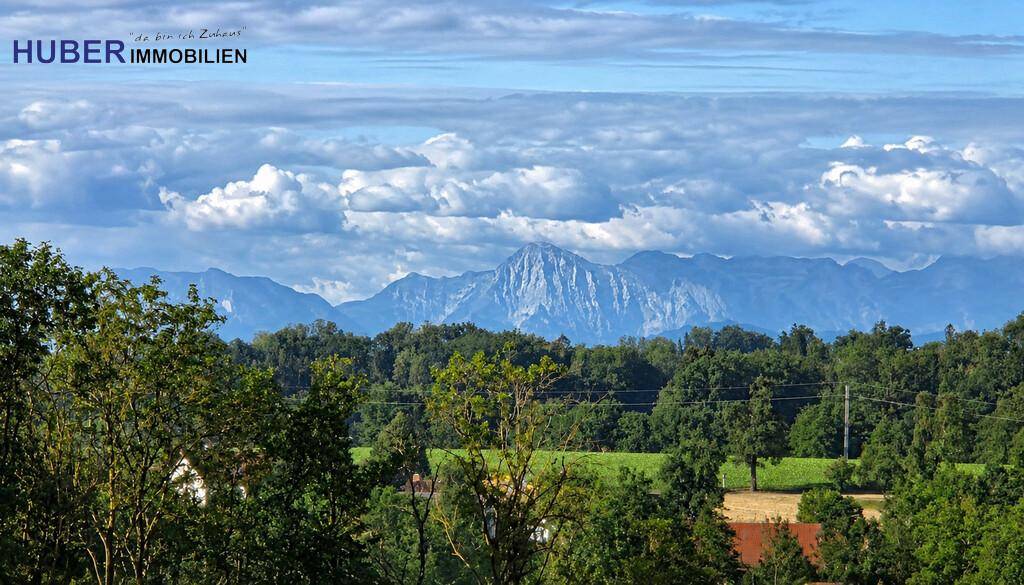 Panoramablick über grüne Baumwipfel auf eine majestätische Berglandschaft unter einem bewölkten Himmel.