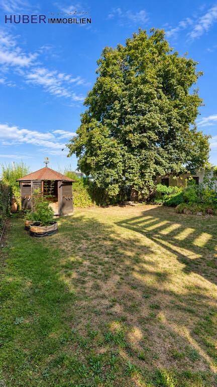 Vertikale Ansicht eines Gartens mit Rasen, großem Baum und einem kleinen Gartenhaus.