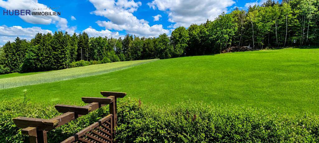 Malerische Landschaft mit weiten grünen Feldern und dichtem Wald unter einem sonnigen Himmel.