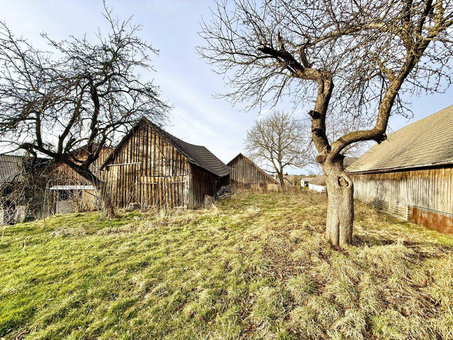 Rustikale Holzscheunen und alte Obstbäume auf einem ländlichen Grundstück unter blauem Himmel.