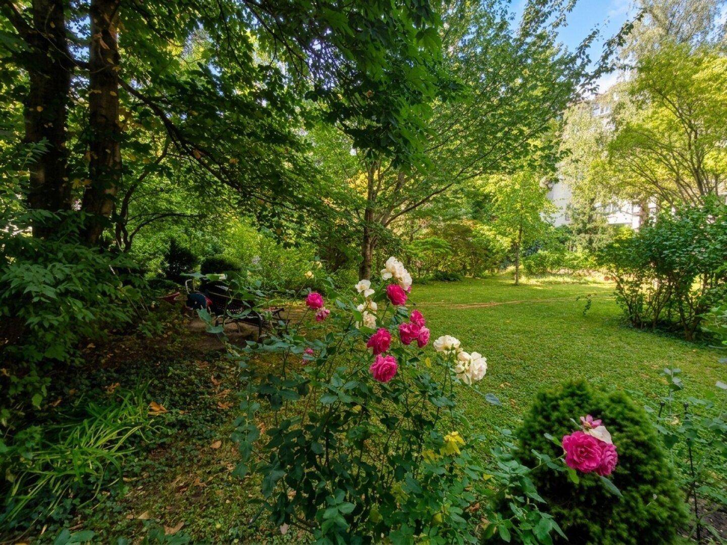 Gepflegter Gemeinschaftsgarten mit Rosenbüschen, Rasenflächen und altem Baumbestand.