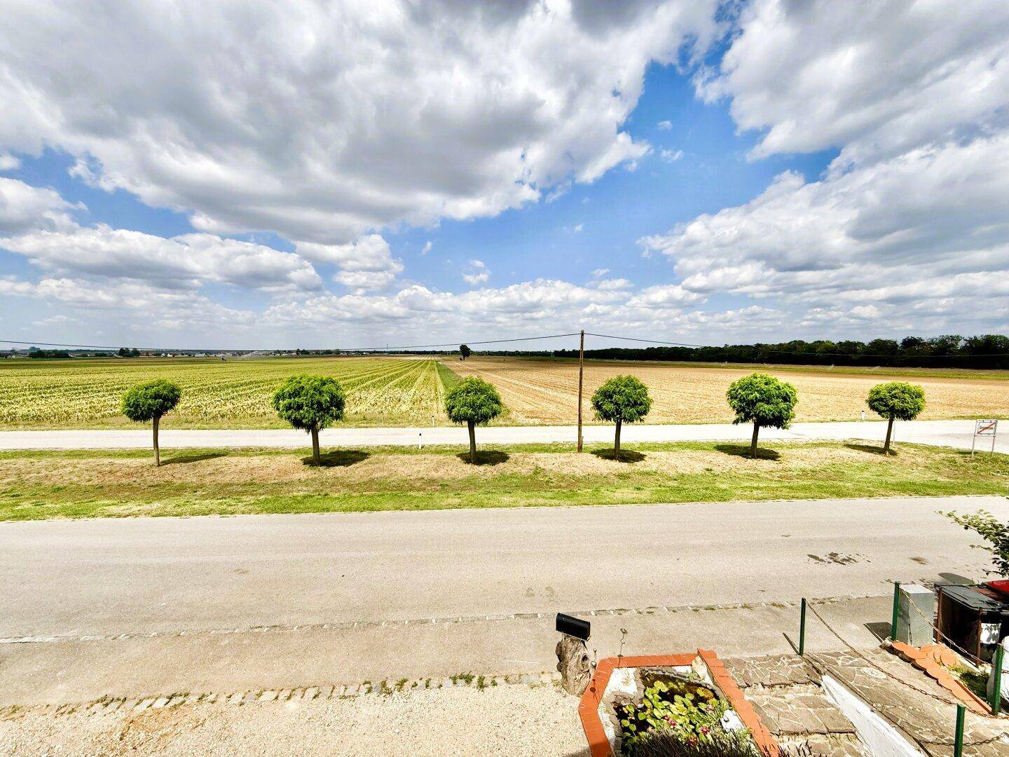 Weitläufiger Blick über grüne Felder und die offene Landschaft unter blauem Himmel.