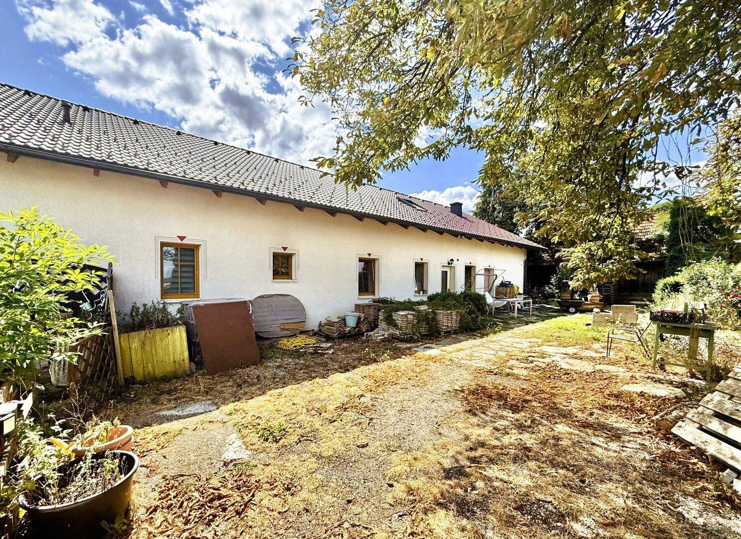 Hinterhofbereich des Hauses mit Gartenfläche und Baumbestand.
