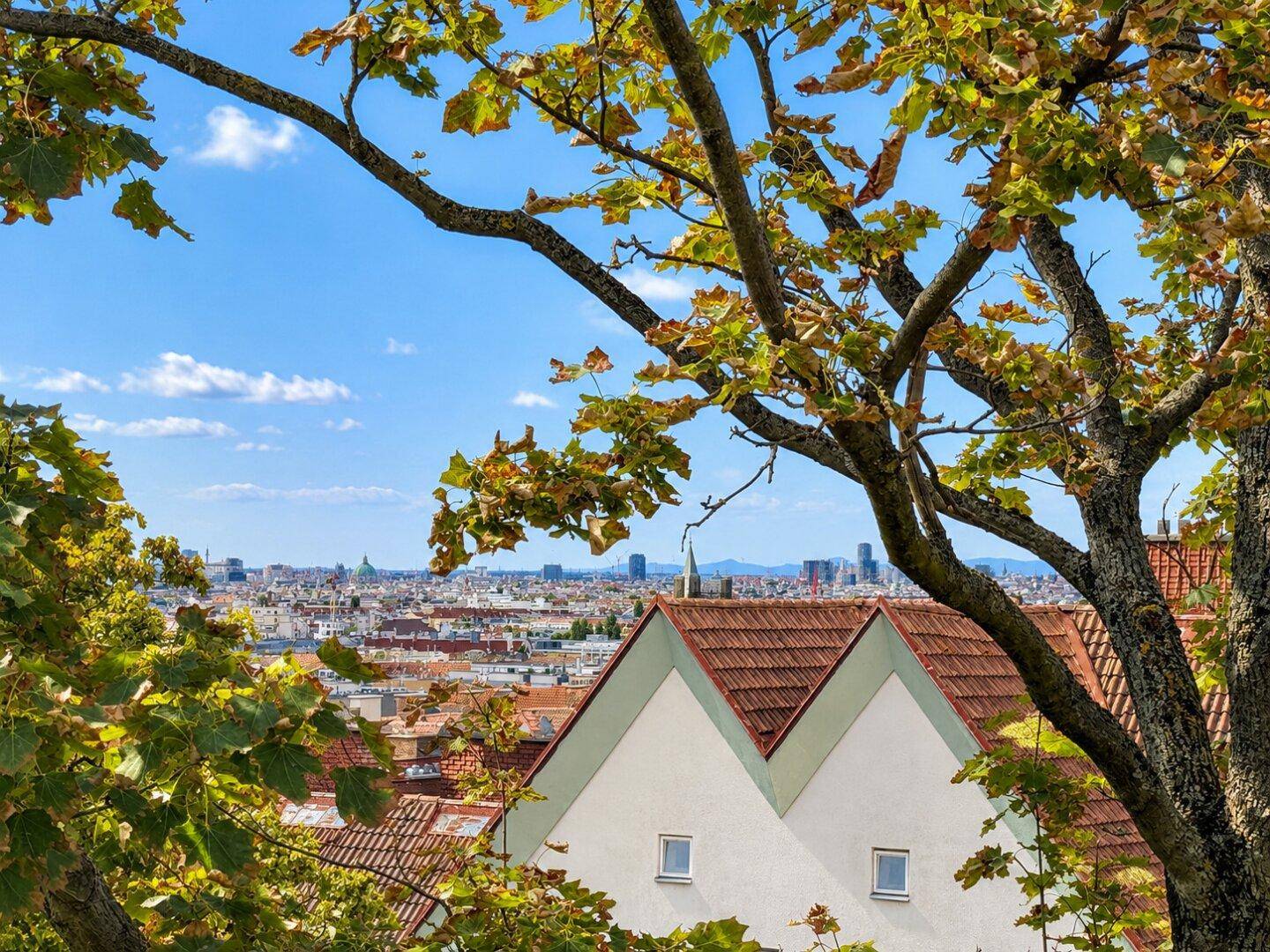 Panoramablick über die Dächer der Stadt mit Skyline im Hintergrund, umrahmt von Bäumen.
