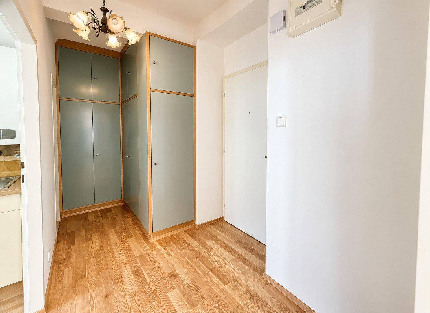 Heller Flur mit Holzboden und praktischen Einbauschränken, der zur Küche führt.