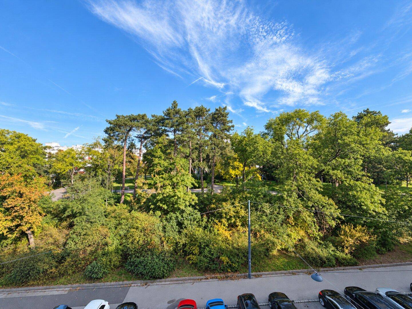 Blick auf eine grüne Parklandschaft mit Bäumen und geparkten Autos unter blauem Himmel.