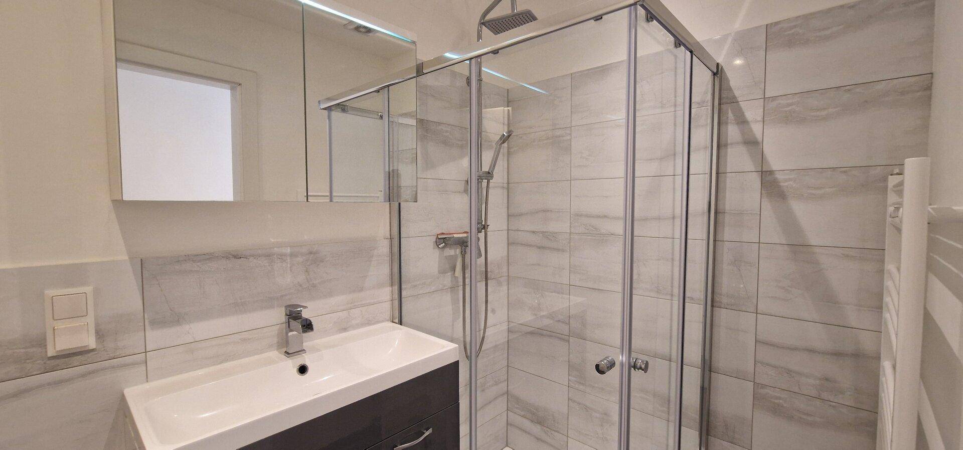 Modernes Badezimmer mit begehbarer Dusche, Einzelwaschbecken und Spiegelschrank.