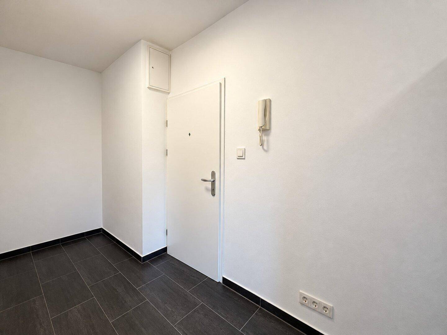Eingangsbereich mit dunklen Fliesen und weißer Tür, bietet einen praktischen Empfangsbereich.