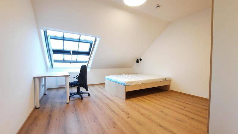 Zimmer_2