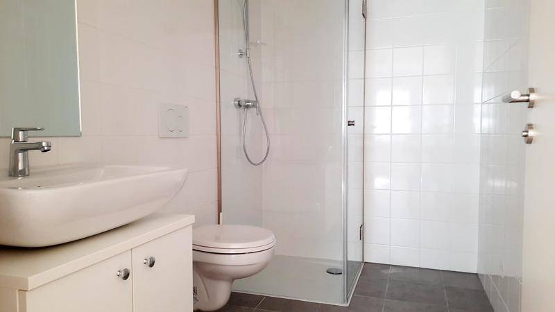 Modernes Badezimmer mit Einzelwaschbecken, wandhängendem WC und einer begehbaren Dusche mit Glaswand.