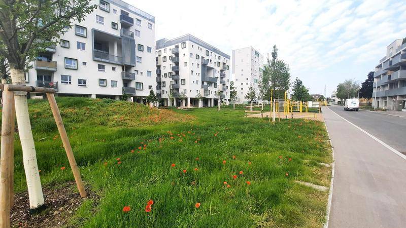 Moderne Wohngebäude mit weitläufiger Grünfläche, Bäumen und einer Straße im Vordergrund.