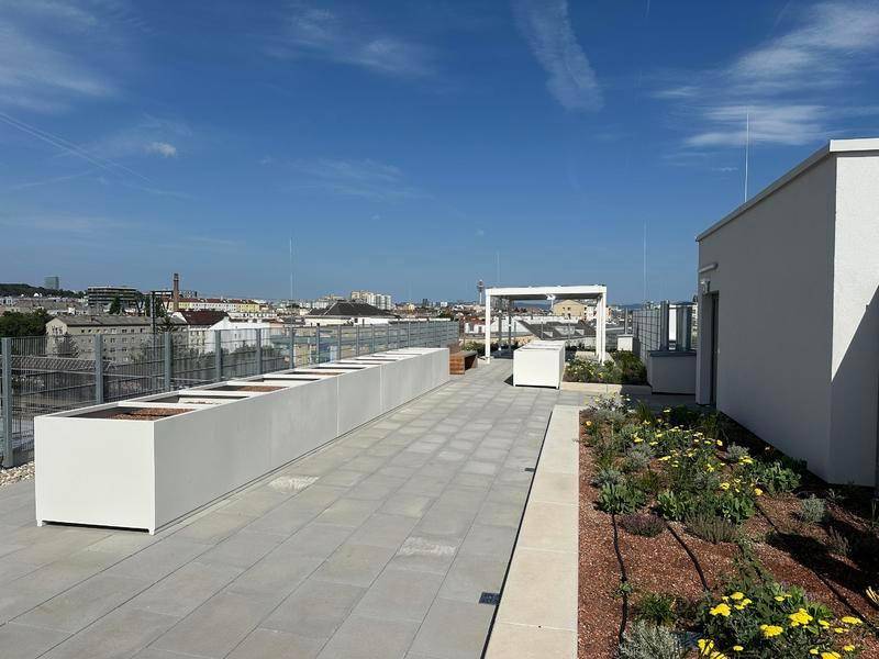 Sonnige Dachterrasse mit langen Pflanzkübeln und weitem Blick über die Stadt.