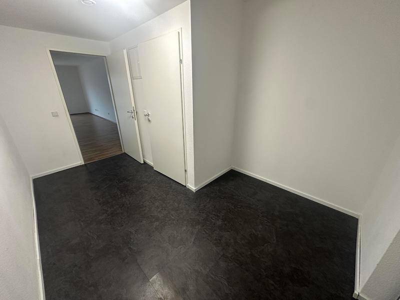 Leerer Flur mit dunklem Bodenbelag und weißen Türen, der zu weiteren Räumen führt.
