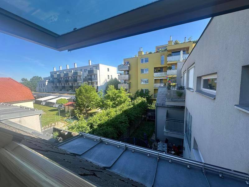 Blick aus einem Dachfenster auf die umliegenden Wohngebäude und grüne Innenhöfe.