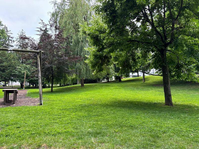 Weitläufige Grünfläche mit Rasen und vereinzelten Bäumen, ideal zum Entspannen und Spielen.
