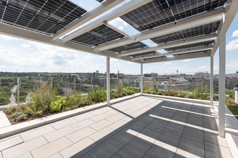 Großzügige Dachterrasse mit Pflastersteinen, Bepflanzung und einer Pergola mit Solarmodulen.