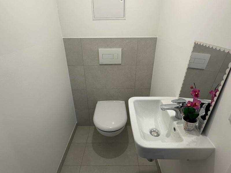 Separates Gäste-WC mit Wand-WC, kleinem Waschbecken und modernem Spiegel.