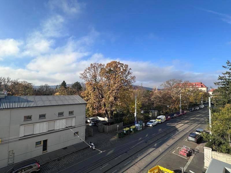 Weitblick über eine Baumallee und die Stadt bis zu den bewaldeten Hügeln.
