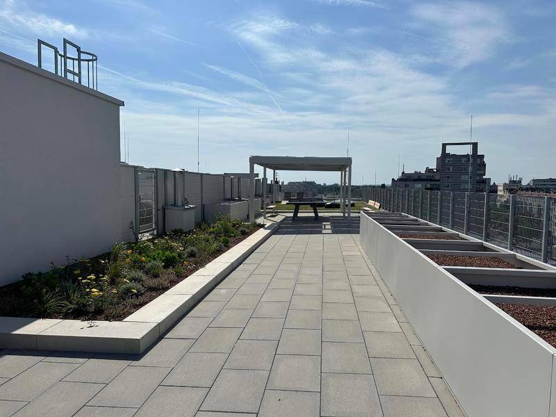 Weitläufige Dachterrasse mit Pergola, Sitzgelegenheiten und Bepflanzung.