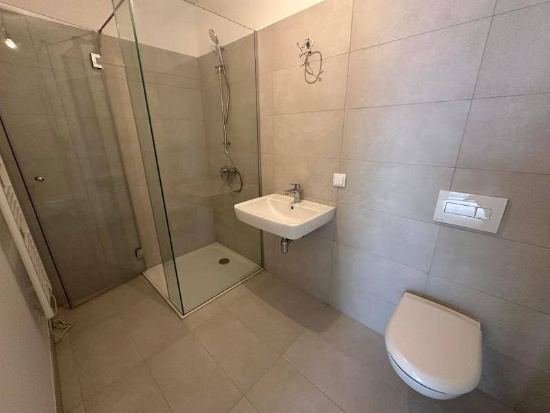 Modernes Badezimmer mit begehbarer Dusche, Wand-WC und grauem Fliesenboden.