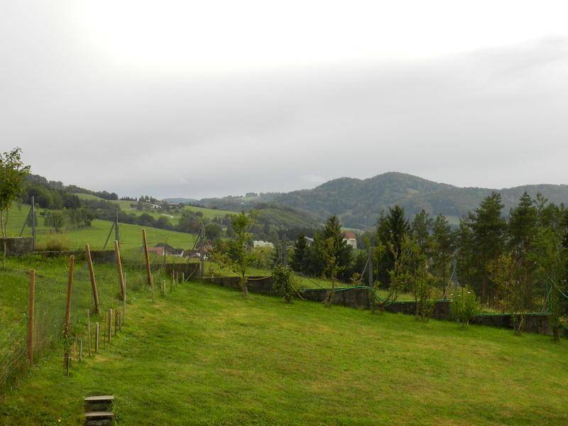 DSCN6834