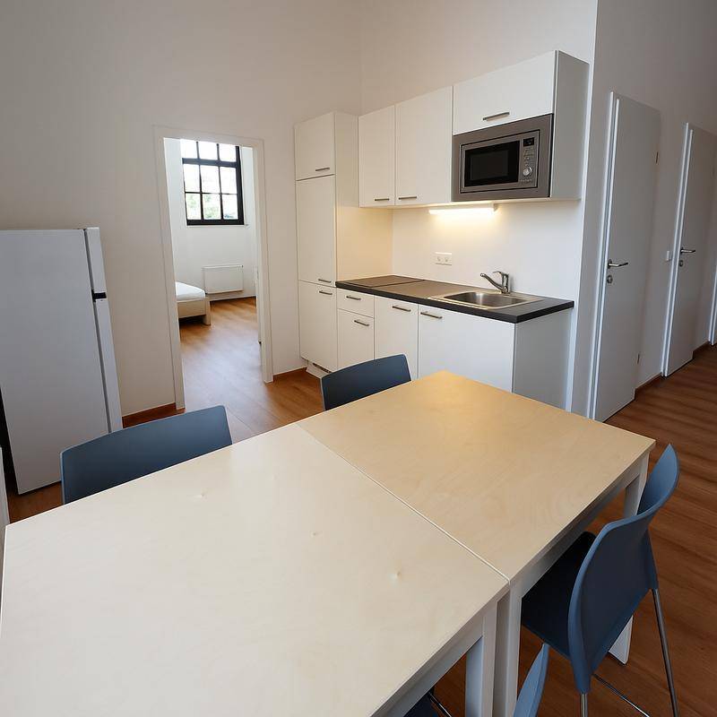 Moderne Küchenzeile mit Essbereich und Blick in ein weiteres Zimmer, ideal für Studentenwohnungen.
