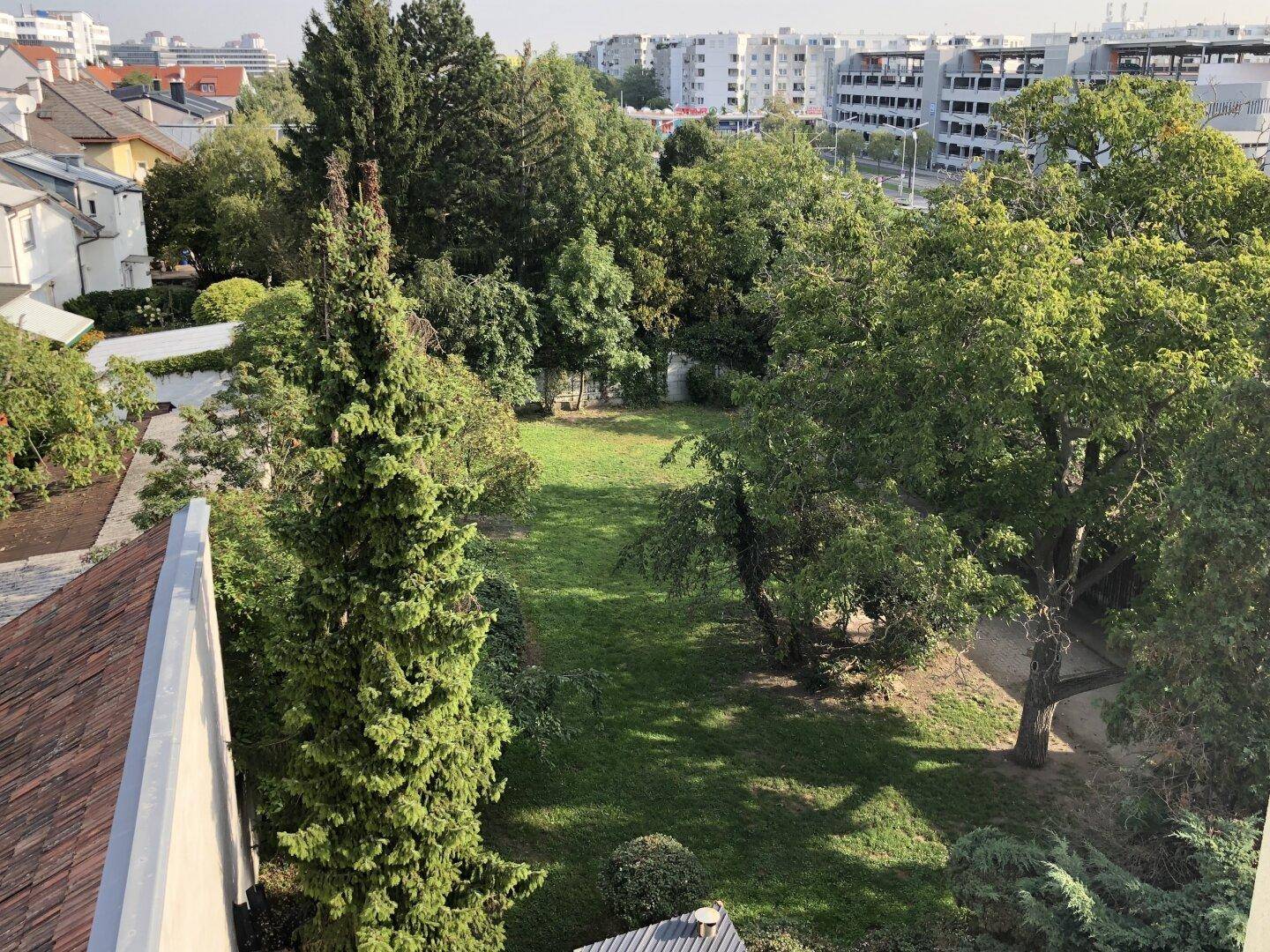 Großer, gepflegter Garten mit altem Baumbestand und weitläufiger Rasenfläche, umgeben von Gebäuden.