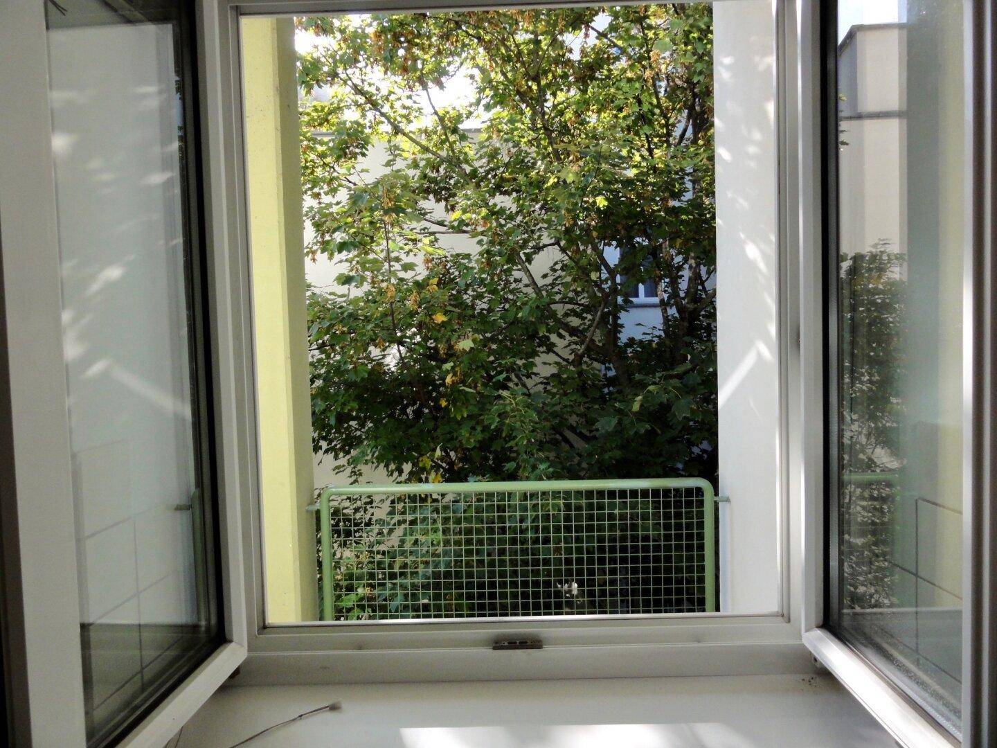 Blick aus dem offenen Fenster auf grüne Bäume und das Gittergeländer des Balkons.