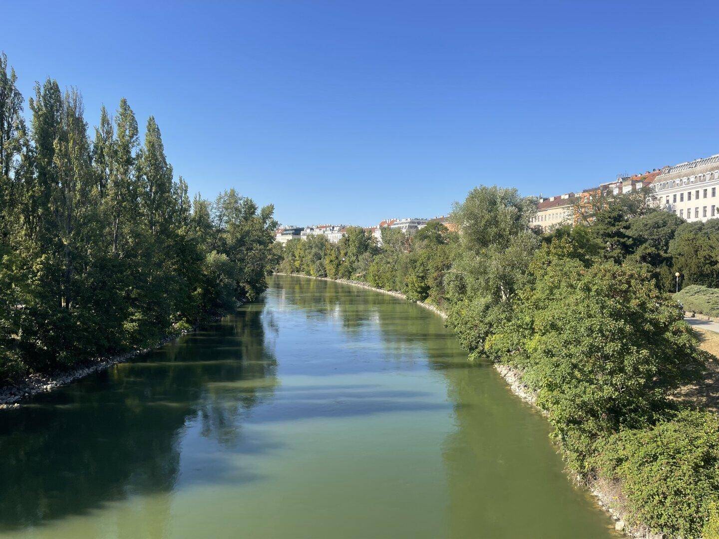 Breiter Fluss mit üppiger Vegetation an beiden Ufern und städtischer Bebauung im Hintergrund unter blauem Himmel.
