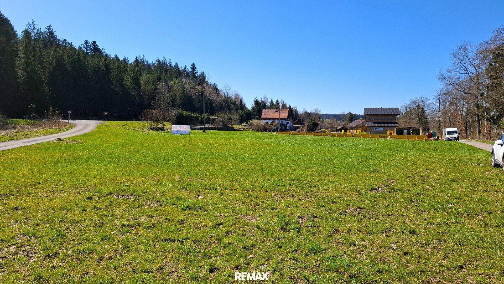 Weitläufige grüne Wiese mit Blick auf umliegende Häuser und Wald unter blauem Himmel.