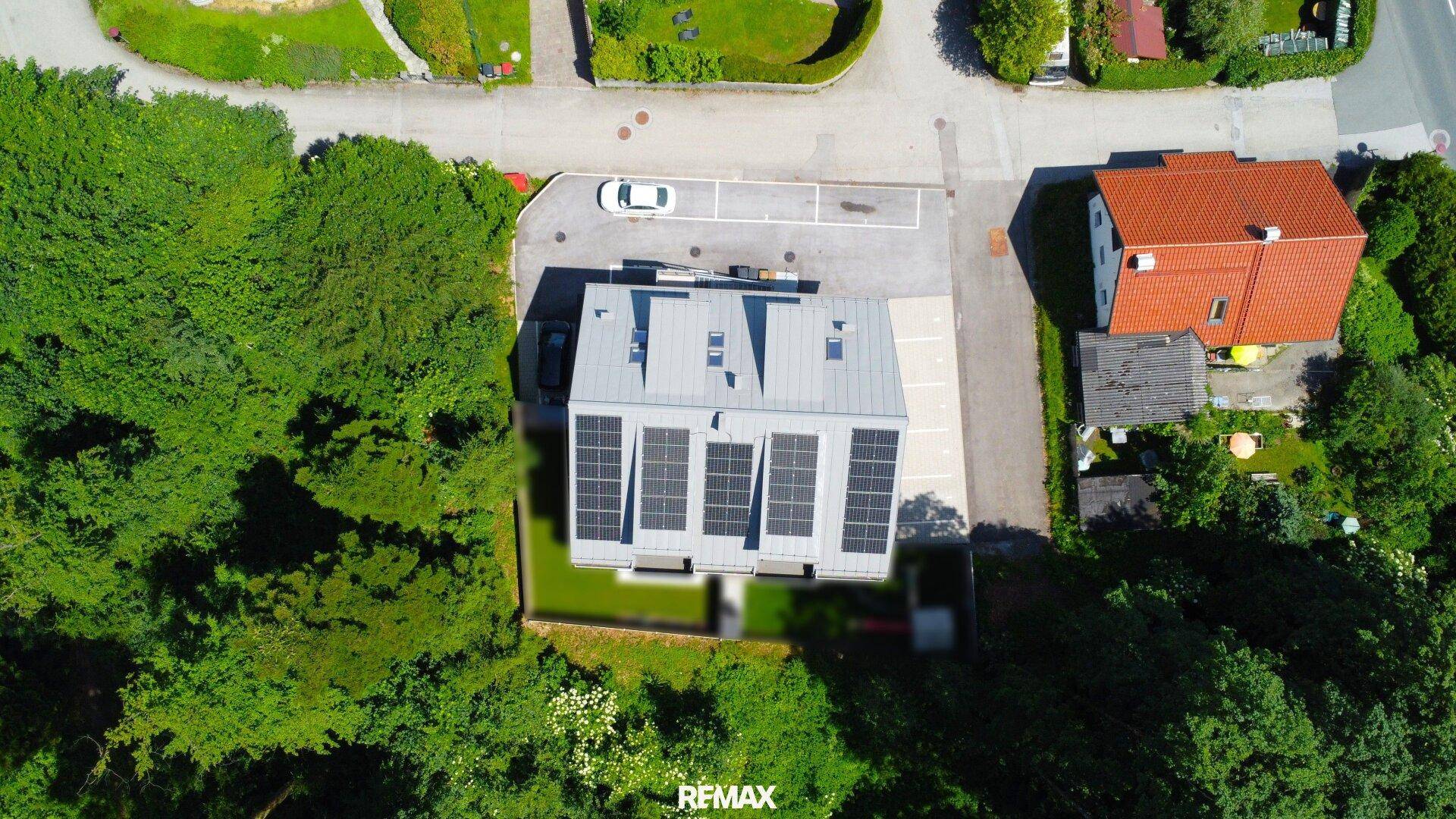 Luftaufnahme des Hauses mit Photovoltaikanlage, umgeben von Bäumen und einer Zufahrtsstraße.
