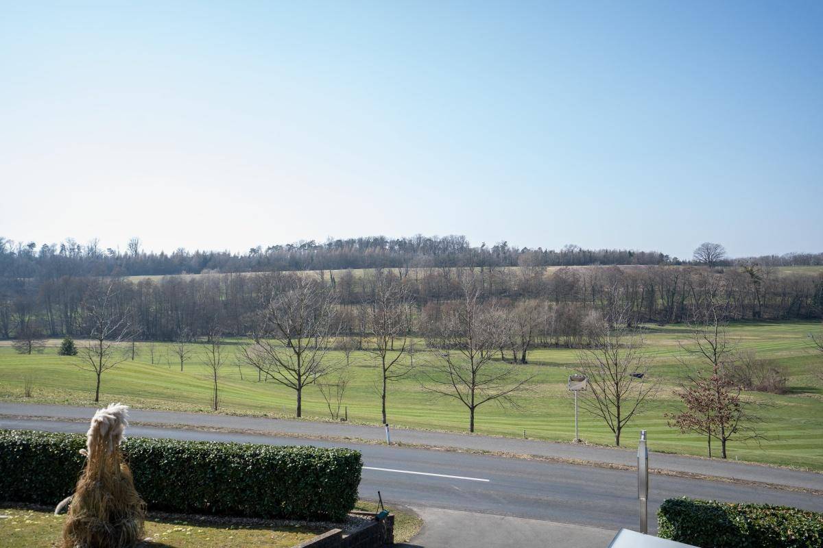 Weitblick über grüne Felder und eine Landstraße, umgeben von Bäumen und Natur.