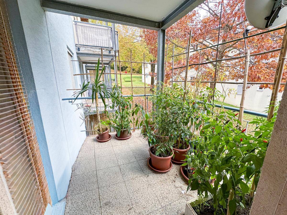 Kleiner Balkon mit Pflanzen und Blick auf die herbstliche Umgebung.