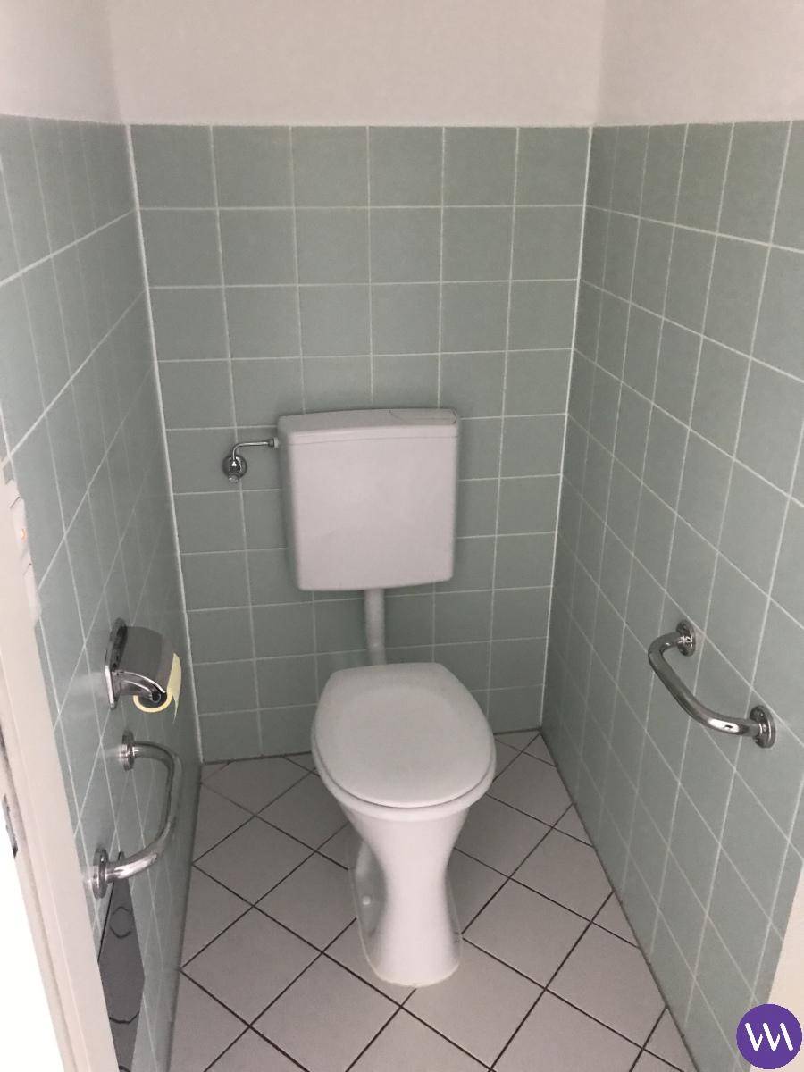 Kleines WC mit hellgrünen Fliesen, Toilette und Handtuchhalter.