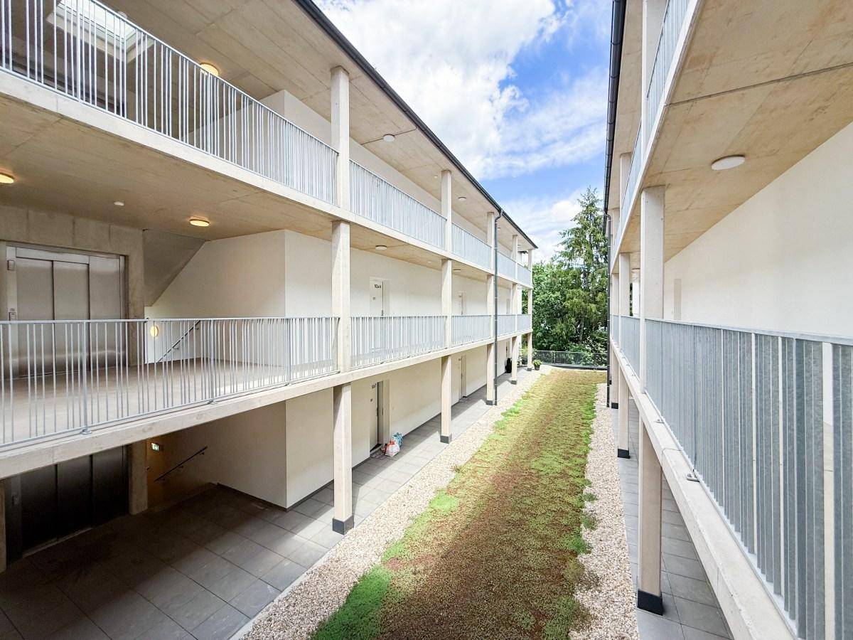 Begrünter Innenhof zwischen den Gebäuden mit Gehwegen und Zugang zu den Wohnungen.