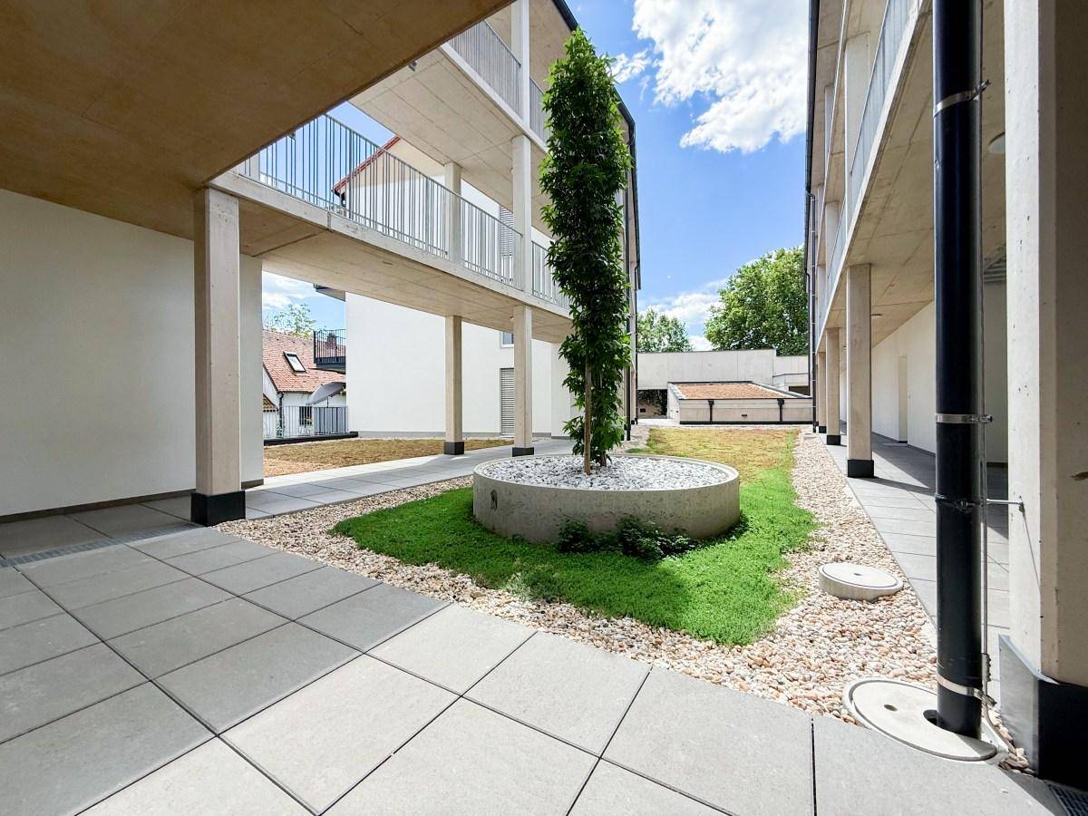 Begrünter Innenhof mit Kiesflächen und einem jungen Baum als Blickfang.