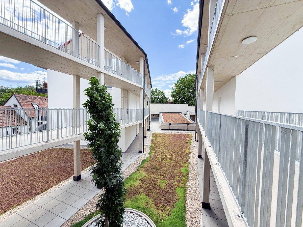 Heller Innenhof mit einem zentralen Baum und gepflegten Grünflächen zwischen den Gebäuden.