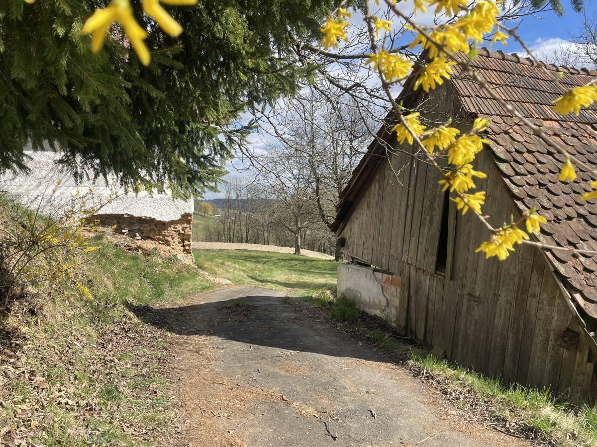 Schmaler Weg zwischen alten Gebäuden, umgeben von blühenden Sträuchern und ländlicher Natur.