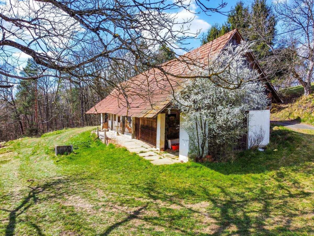 Seitenansicht eines alten Bauernhauses mit Holztüren und blühendem Baum im Vordergrund.