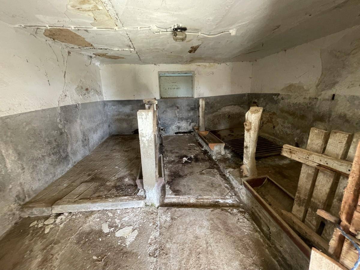 Alter Kellerraum mit gemauerten Trennwänden und Holzböden, möglicherweise ein ehemaliger Stall.